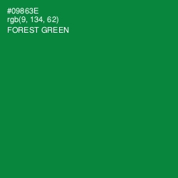 #09863E - Forest Green Color Image